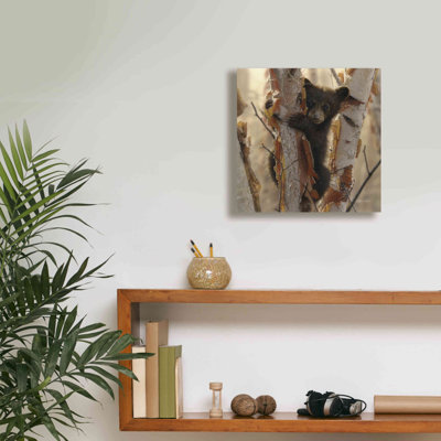«Curious Cub II» par Collin Bogle, art mural sur toile