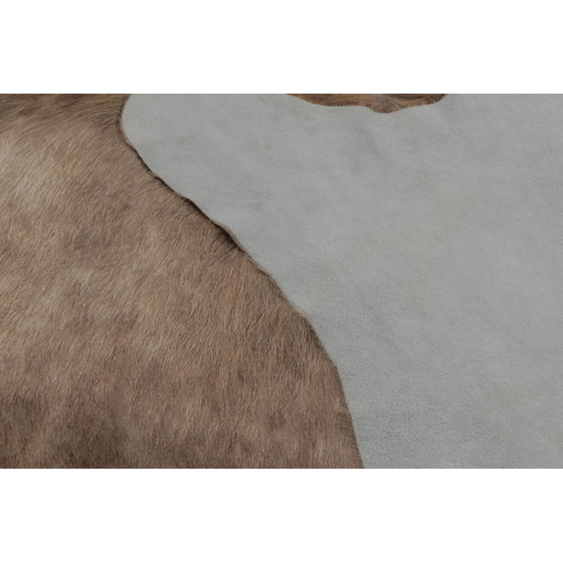 Modern Classics One-of-a-Kind 6'6x8'1 Area Rug