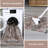 Washable Indoor Rug-1538775528