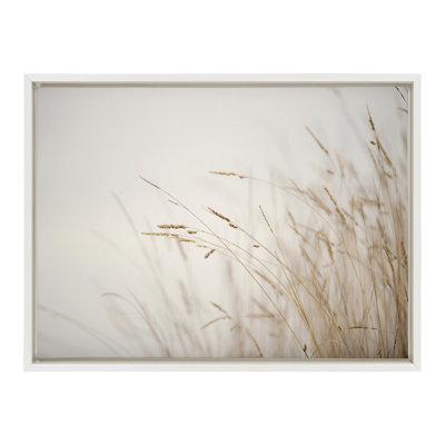 «Marsh Grass No 1» par Crystal Lynn Collins, reproduction d'art sur toile encadrée