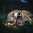 8 " LED Twinkling String Lights