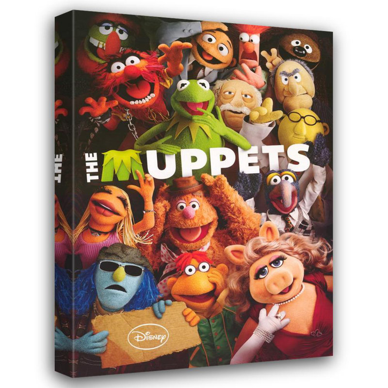 Muppet Show (Cast), 18" H x 13" W