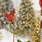 Christmas Bird