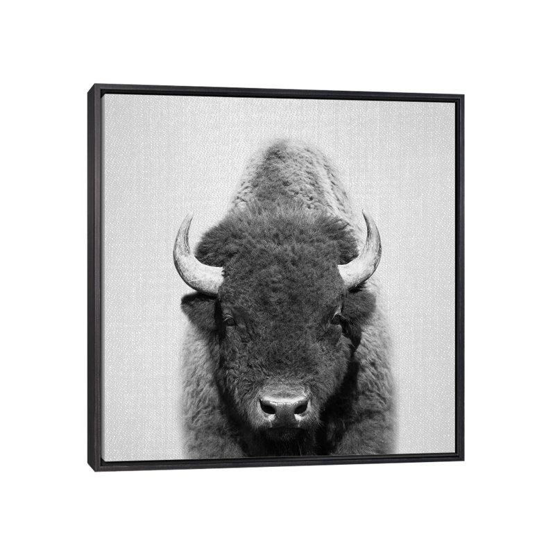 «Buffalo», reproduction d'art, H 37 po x l 37 po x P 1,5 po, Cadre noir vieilli