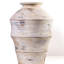 Vase Visha