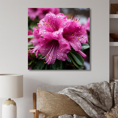 Beauté des rhododendrons mauves - art mural rhododendron