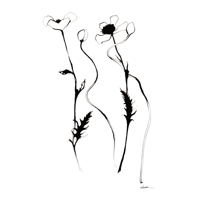 «Ink Poppies» par Shirley Novak, H 30 po x l 20 po