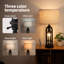 Ensemble de 2 lampes de bureau.