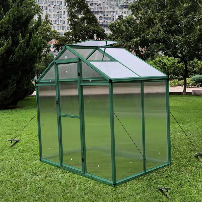 Serre en aluminium robuste de 6 pi x 4 pi - Polycarbonate pour l'extérieur toutes saisons, coupe-vent, bloquant, espace de rangement spacieux avec système de drainage fiable