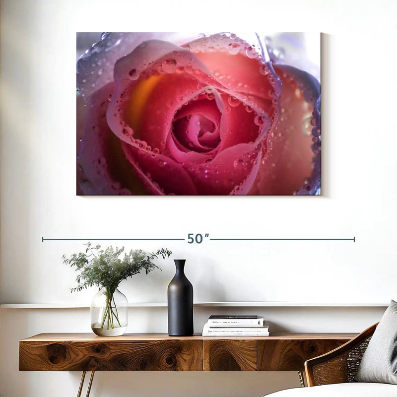 Rose brumeux Harnek, H 26 po x l 39 po