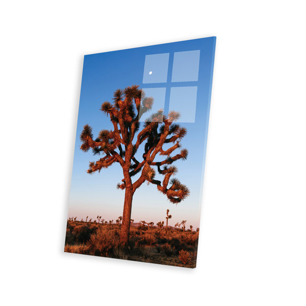 Union Rustic Joshua Tree, California, USA On Plastic / Acrylic by ...