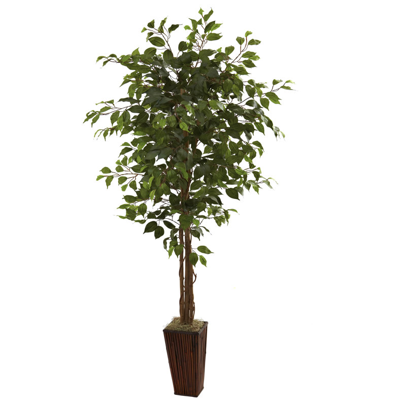 Aahil Faux Ficus Tree in Wood Decorative Vase, 72" H x 34" W x 34" D