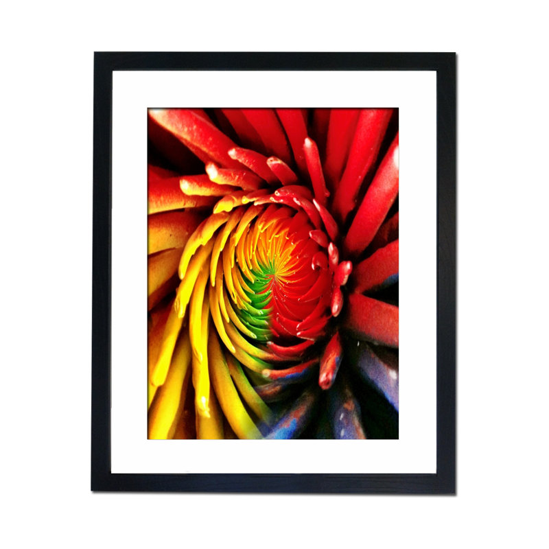 Single Picture Frame Print