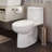 American Standard Loft 1.28 Gallons GPF Elongated Floor Mounted Kit (Seat Included)