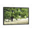 «Tree in Summer», reproduction de photo sur toile-20892463-73164773-73164774