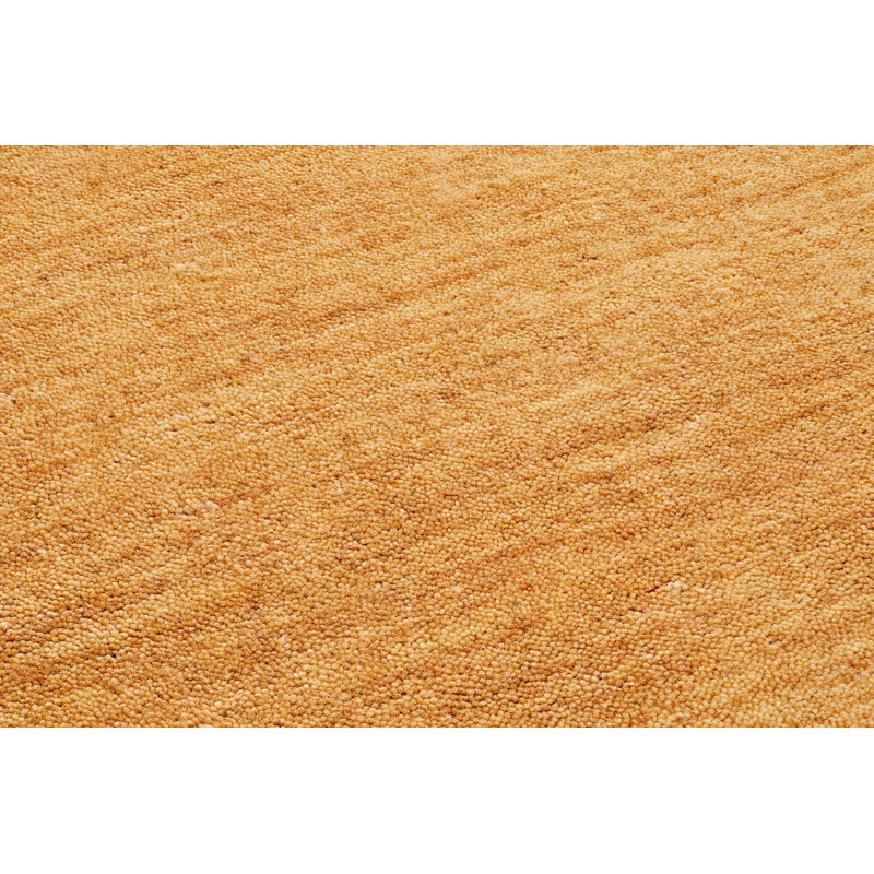 Daylynn Wool Hand Woven Area Rug, Rectangle 170 x 240cm
