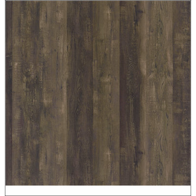 Chase Rustic Oak 2-Door TV console