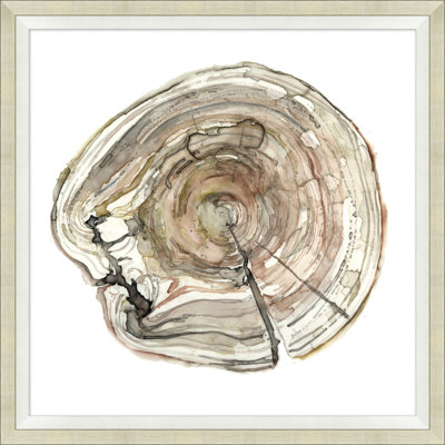 Tree Rings 3 - Peinture encadrée sur papier