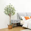 Arbre d'eucalyptus artificiel Adcock-1436333725-1417930759