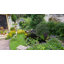 Pompe à cascade & ecowave étang-49277783
