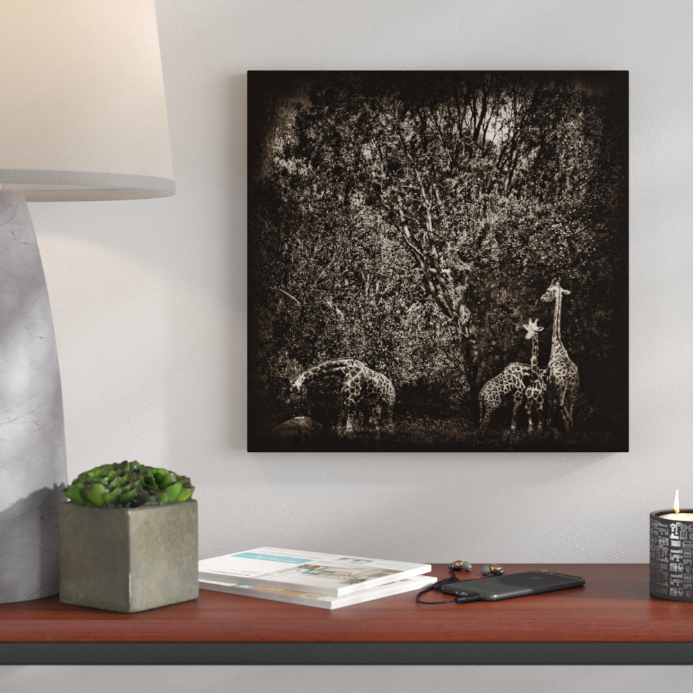 'Safe' by Andrew Paranavitana Photographic Print on Wrapped Canvas