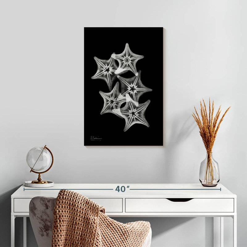 Brampt Starfish Collage, 24" H x 16" W