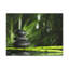 Wall Art on Canvas-909951427