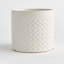 GRETA POT