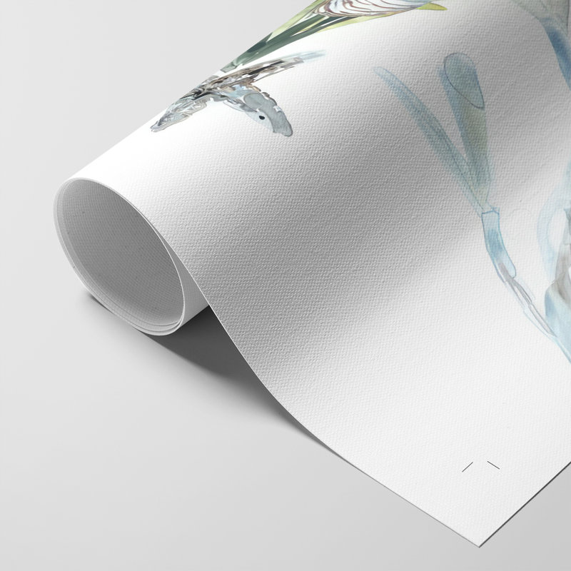 Coastal Christmas Shell Collection B - Impression sur toile seulement - NON-CADRE, H 27 po x l 18 po