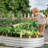 Raised Garden Bed Kit-233710724