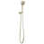 Polished Nickel selected