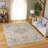 Hamilton Performance Oriental Indoor Rug-822630329