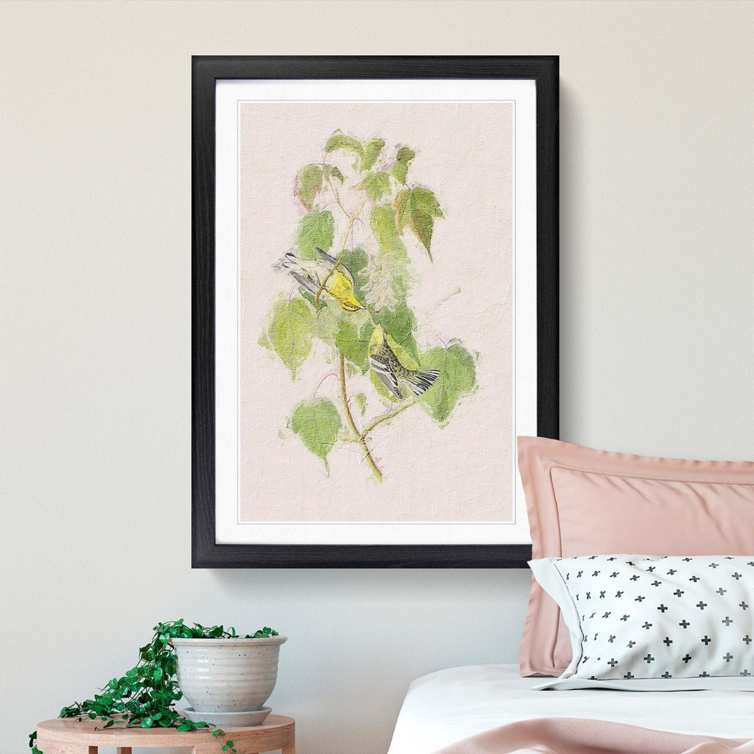 Hemlock Warbler by John Audubon - Picture Frame Painting Print