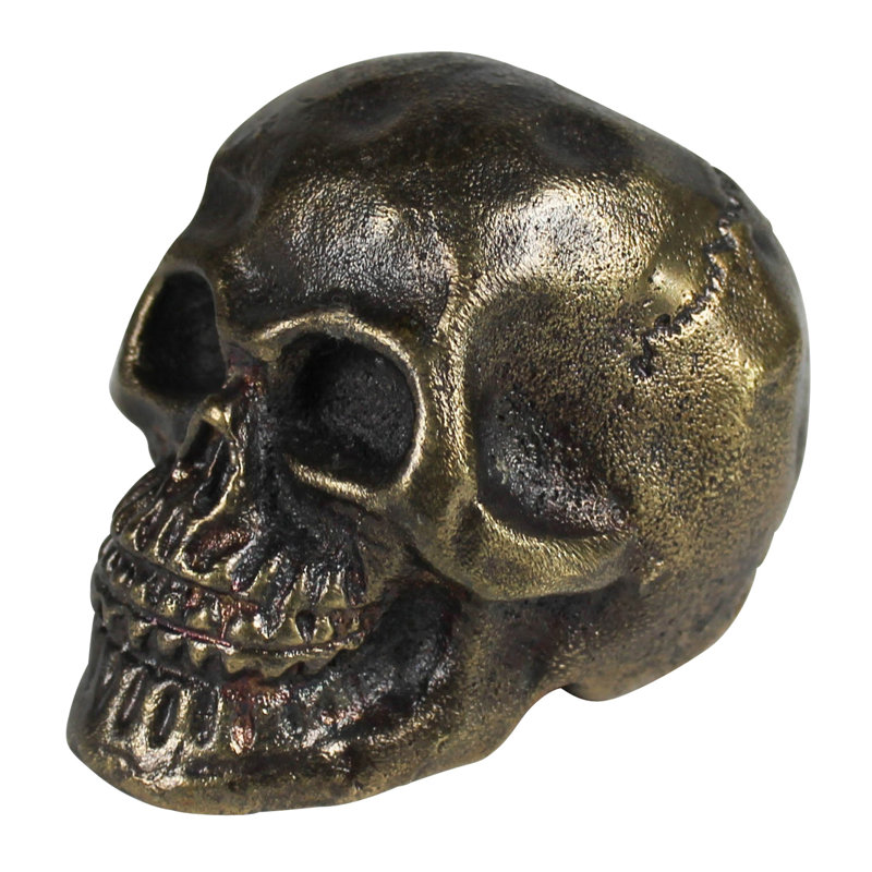Crâne en fonte de métal, bronze