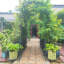 Autres éléments de décoration extérieure pour espace extérieur, 24,2 m (79,5 pi), comme sur la photo, avec cadre en métal, supports pour deux jardinières.
