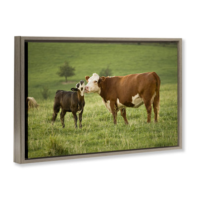 Cow & Calf Preening Floater Canvas by Marty Hulsebos