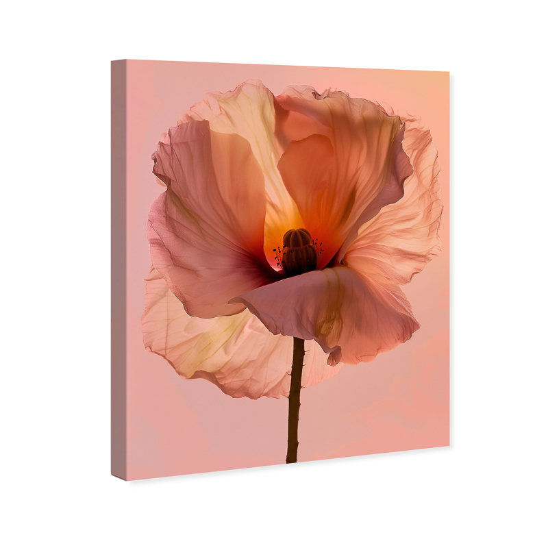 Amber Radiance I Print by Oliver Gal, 24"H x 30"W, Gallery Wrapped