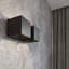 Najee Up & Downlight-206332552-206332175