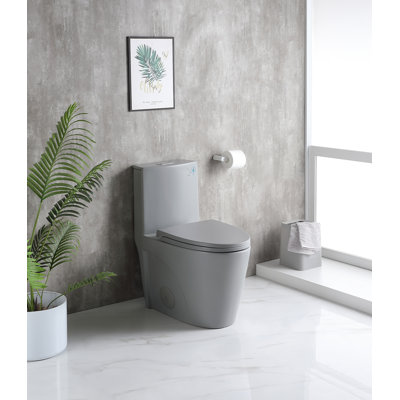 0.8/1.28 GPF Dual-Flush Elongated One-Piece Toilet with 17.13"" ADA Comfort Seat Height, Ceramic Glazed Surface(Soft Close Seat Included), 4 Colors -  ABRUZZO, CA-23T01-LG