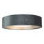 Analiha Plastic Flush Mount-184834608