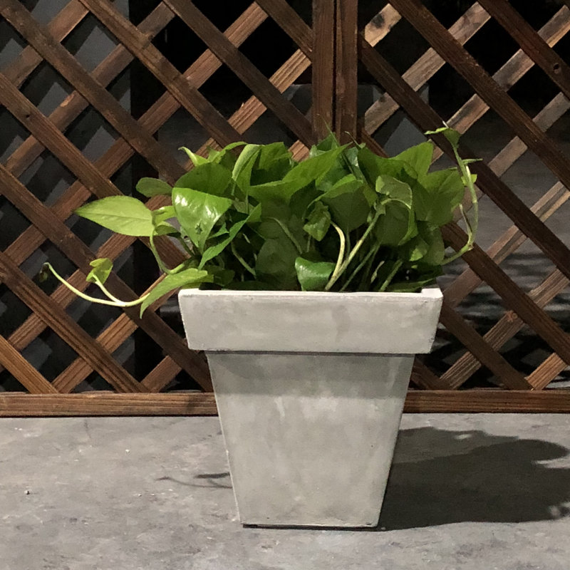 Boîte à fleurs en béton Stephon, H 15 po x l 15 po x P 15 po, Gris clair