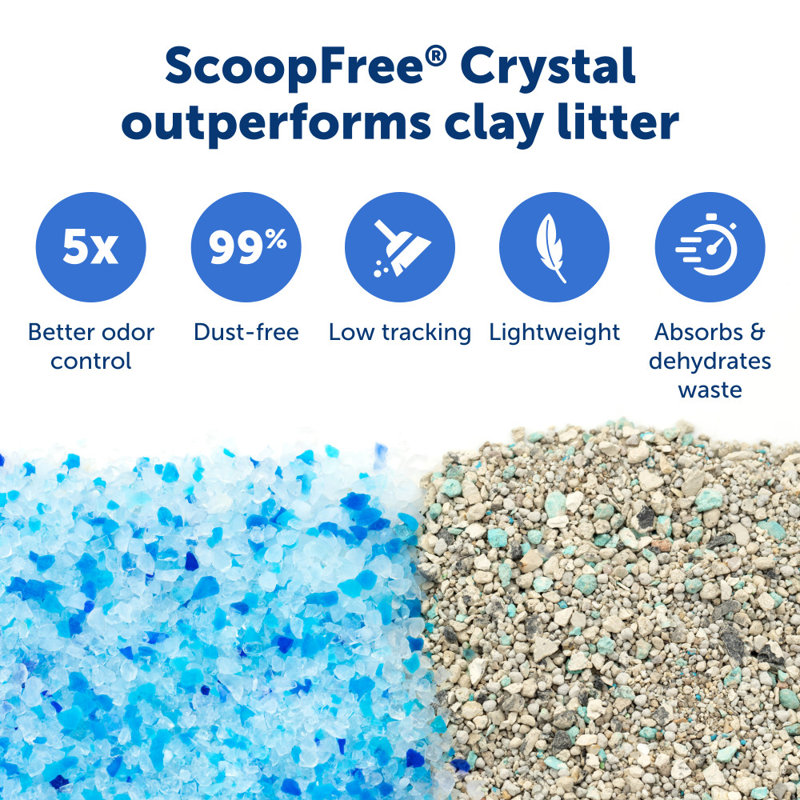 Gray Top-Entry Self-Cleaning Cat Litter Box with Crystal Trays