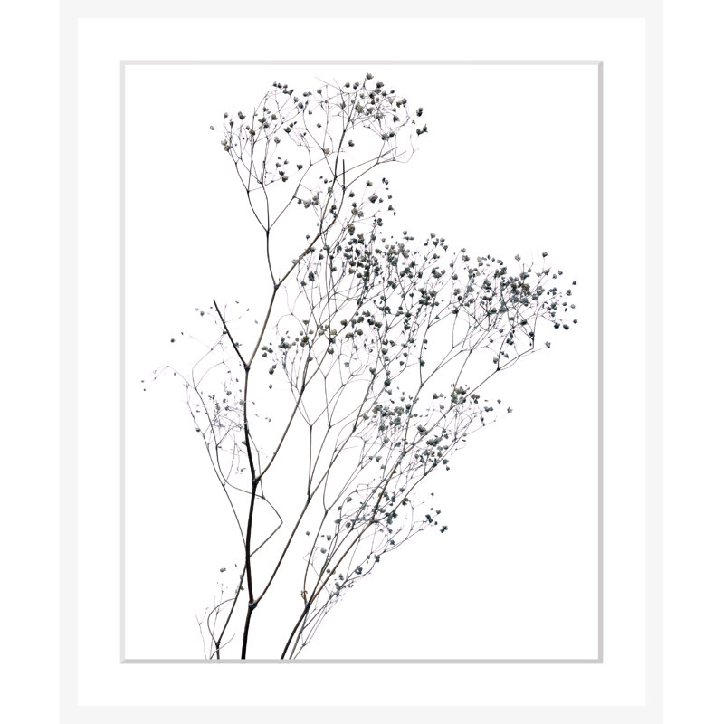 Flowers - Single Picture Frame Print