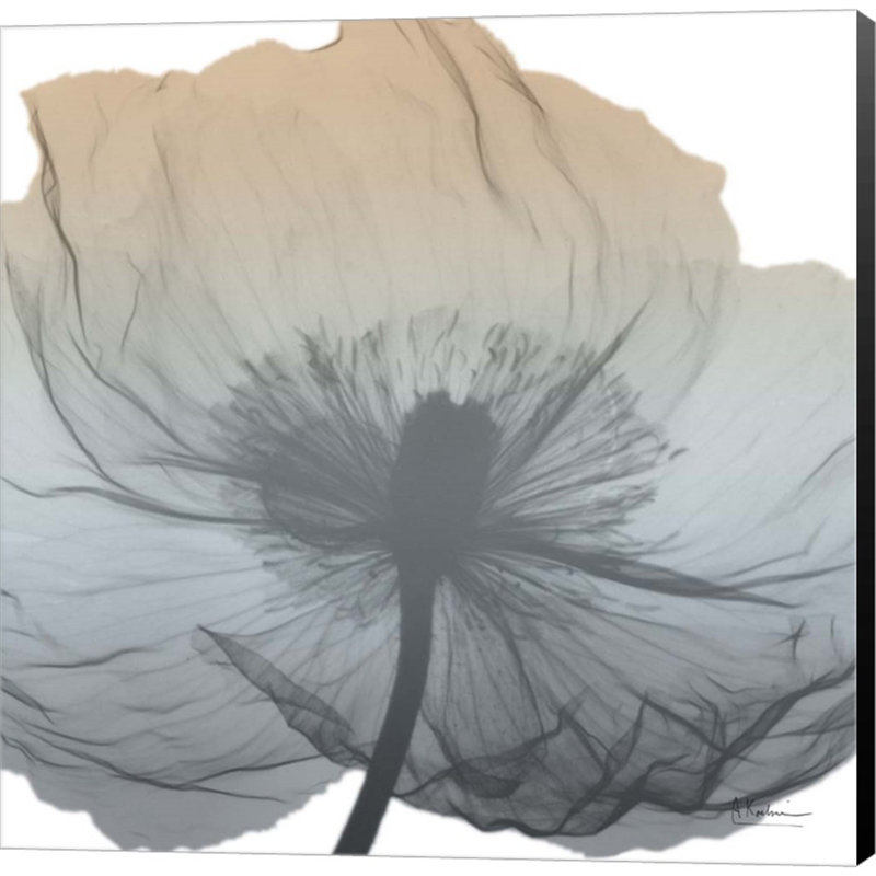 Plants & Flowers Canvas Wall Decor