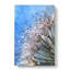 Dewdrops Upon A Dandelion - Wrapped Canvas-56643867