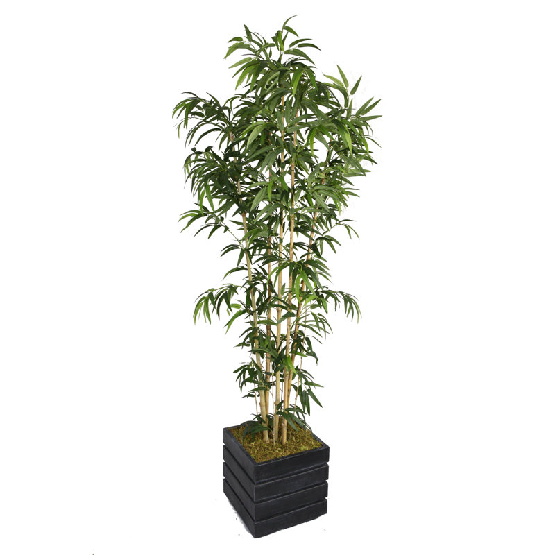 Bambou artificiel en pot 72 po Panama, Noir, Naturel