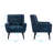 Bolanle 30" W Tufted Wide Back Accent Armchair-645810910