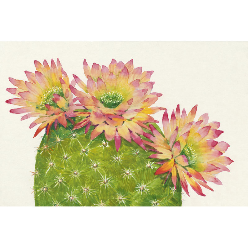Fleurs du désert I, H 8 po x l 12 po x P 1,25 po
