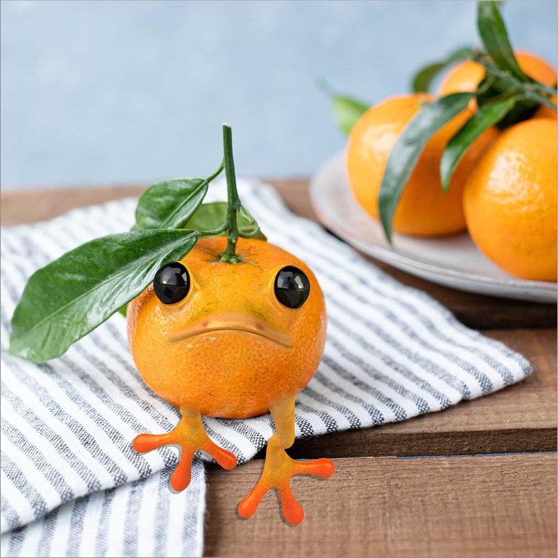 «Frogorange» par Pixelmated Animals, impression sur toile tendue