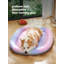 Niche pour chien-99204677